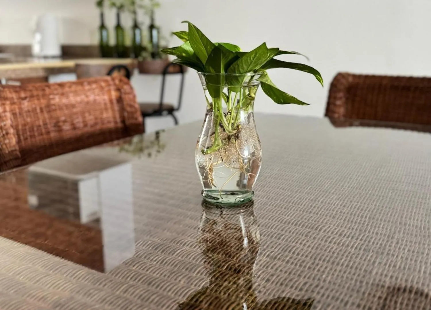 Hermosa Y Comoda Casa Con Alberca Compartida En Puerto Morelos Μεξικό